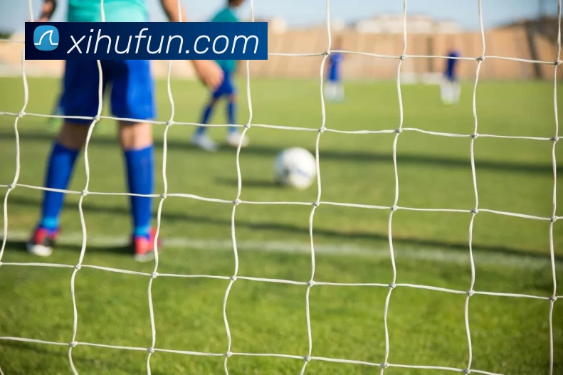 盈丰娱乐官网发展历程