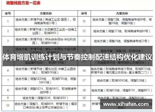 体育增肌训练计划与节奏控制配速结构优化建议